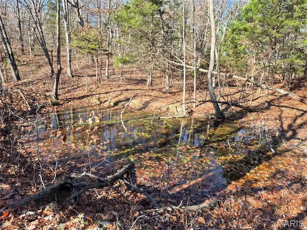 0 Logan School Rd. (15.2+/- Acres), New Florence, MO 63363