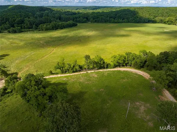 66.3 AC Weber Farm RD, Montreal, MO 65591