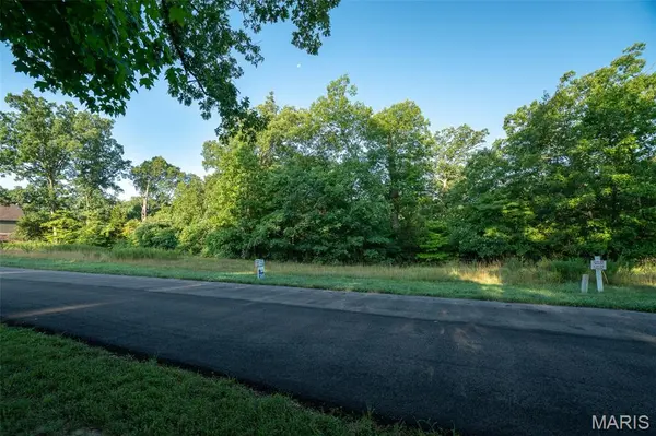 31 Grand Meridien CT, Wildwood, MO 63005
