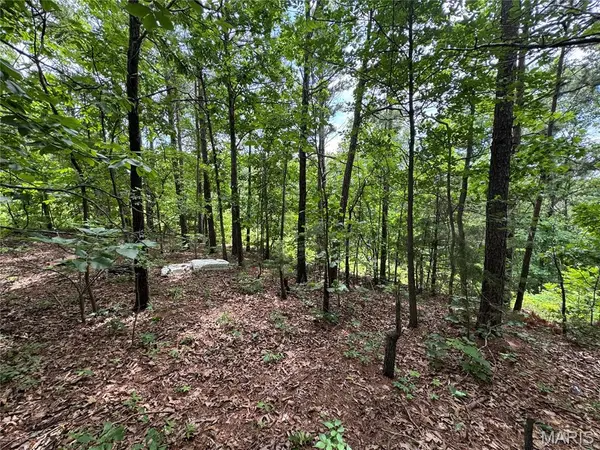 TBD Harvey DR, Dixon, MO 65459