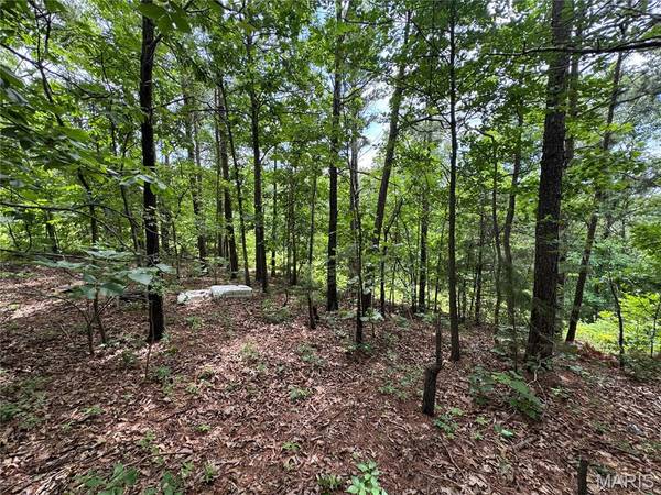TBD Harvey DR, Dixon, MO 65459