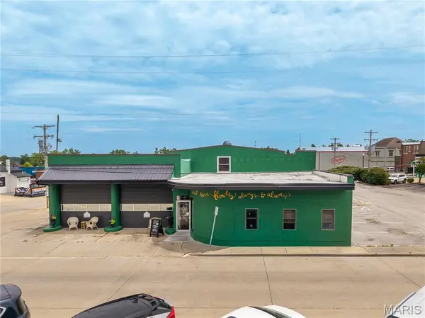 119 N Jackson ST, Perryville, MO 63775