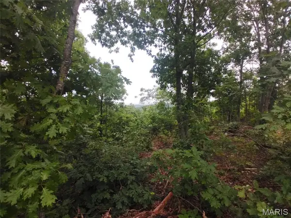 10 Tract 10 Off Hwy O, Belleview, MO 63623