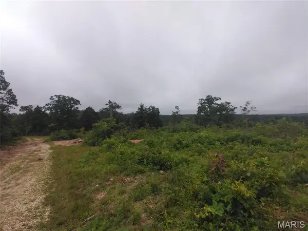 10 Tract 10 Off Hwy O, Belleview, MO 63623