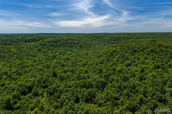 TBD Timberhill Road-Tract 2, Raymondville, MO 65555