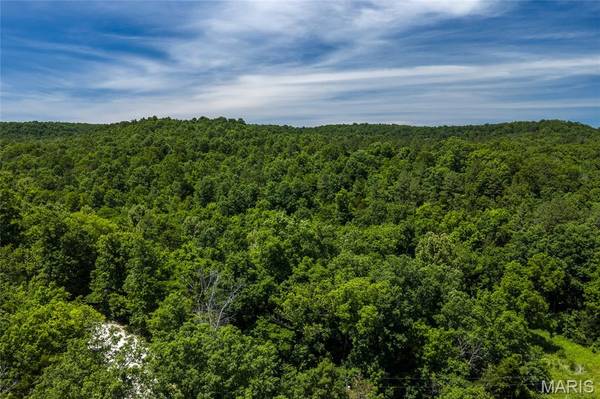 TBD Timberhill Road-Tract 2, Raymondville, MO 65555