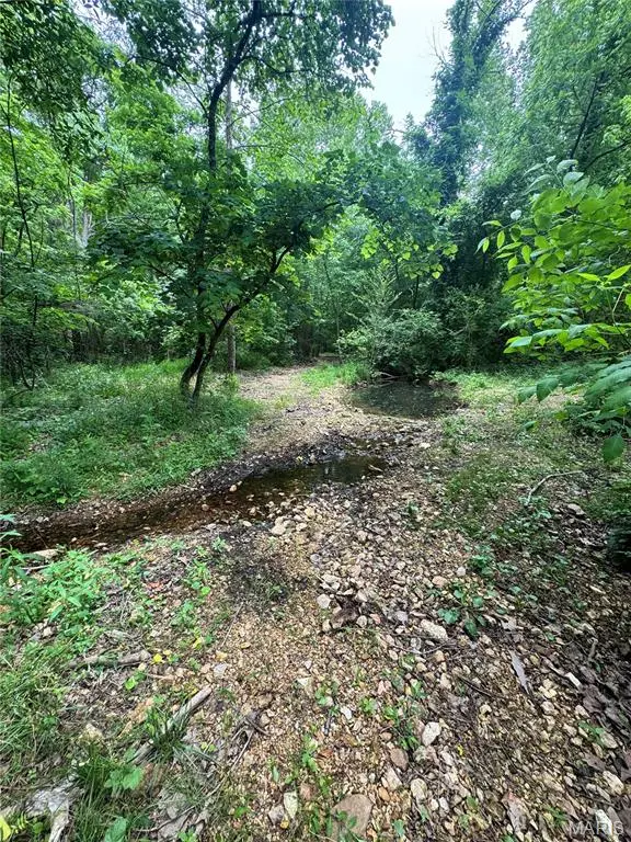 8190 St Hwy 21, Grandin, MO 63943