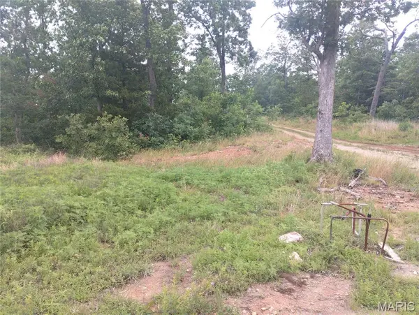 11 Tract 11 Off Hwy O, Belleview, MO 63623