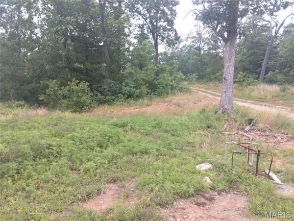 11 Tract 11 Off Hwy O, Belleview, MO 63623