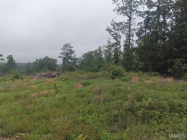 11 Tract 11 Off Hwy O, Belleview, MO 63623