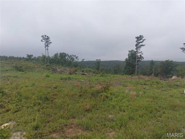 11 Tract 11 Off Hwy O, Belleview, MO 63623