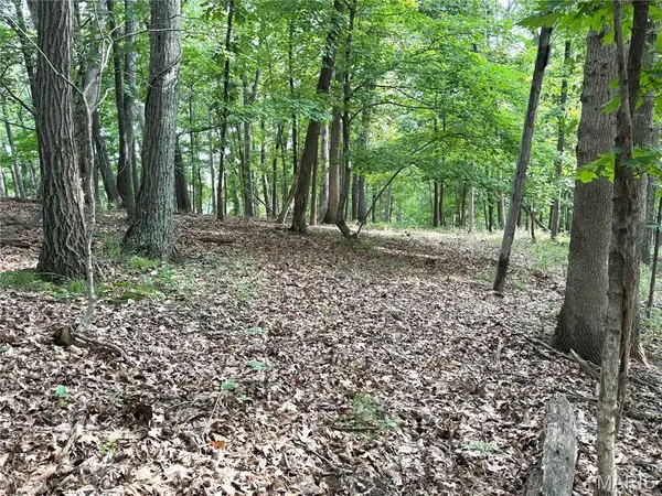 17134 Hidden Valley FRST, Wildwood, MO 63025