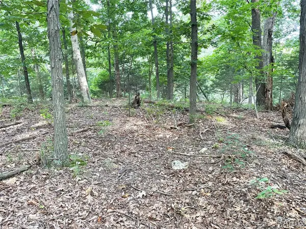 17134 Hidden Valley FRST, Wildwood, MO 63025