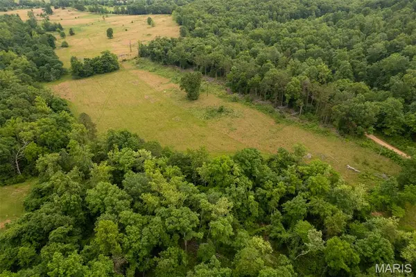 1371 Wayne 344, Des Arc, MO 63636