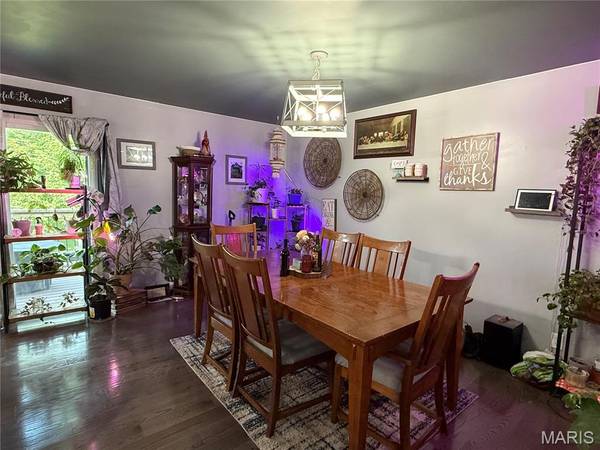 66 Homestead, Hannibal, MO 63401