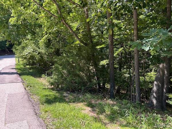 817 Wildflower Valley DR, High Ridge, MO 63049