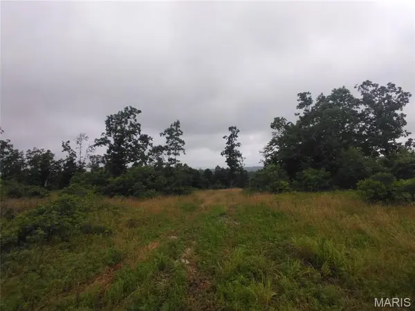 12 Tract 12, Belleview, MO 63623