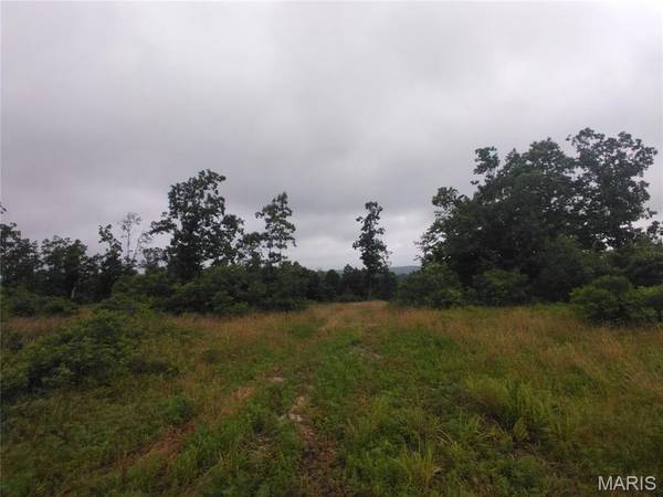 12 Tract 12, Belleview, MO 63623