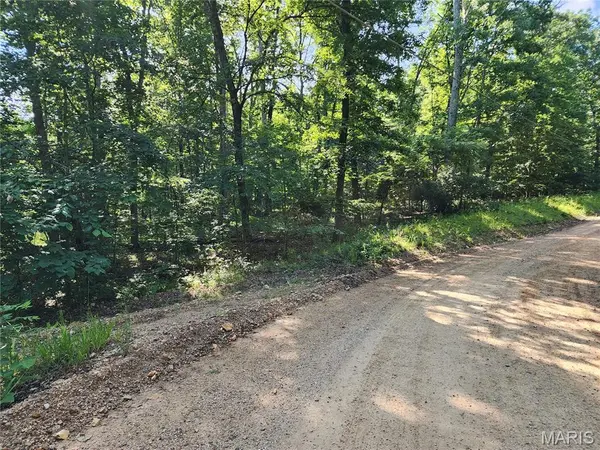 0 County Road 453, Piedmont, MO 63957