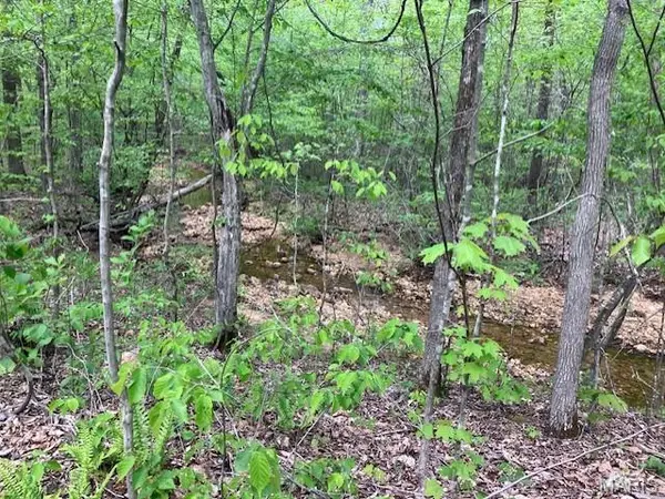 244 Madison CR 410, Fredericktown, MO 63645