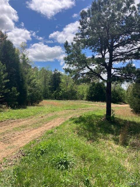 245 Madison CR 410, Fredericktown, MO 63645