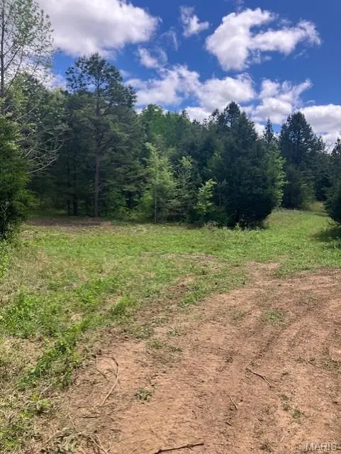 245 Madison CR 410, Fredericktown, MO 63645