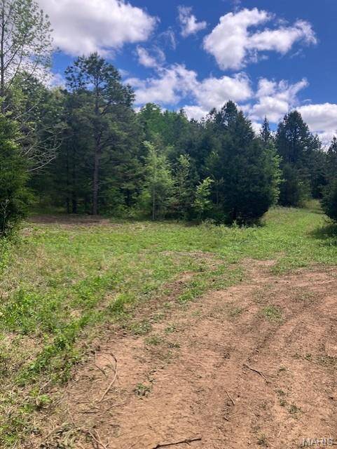 245 Madison CR 410, Fredericktown, MO 63645
