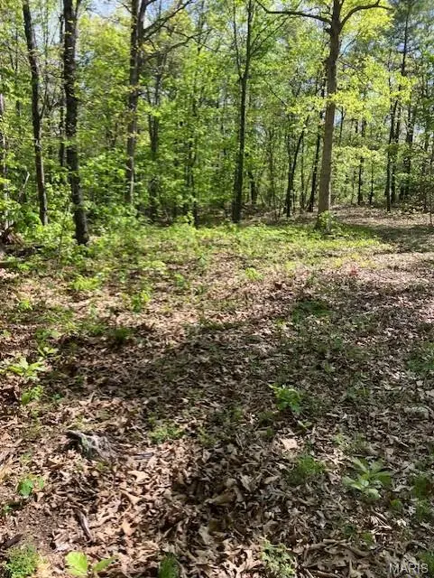 245 Madison CR 410, Fredericktown, MO 63645