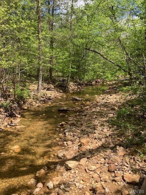 245 Madison CR 410, Fredericktown, MO 63645