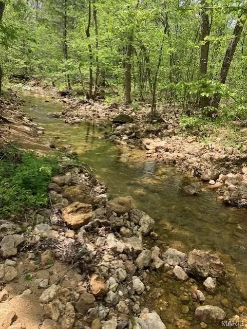 246 Madison CR 410, Fredericktown, MO 63645