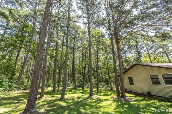 11545 Slaughter Road, Licking, MO 65542