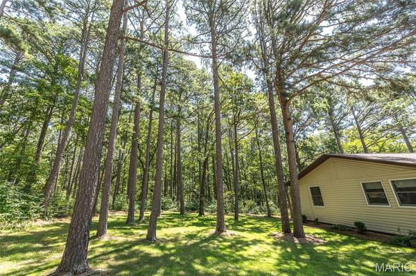 11545 Slaughter Road, Licking, MO 65542