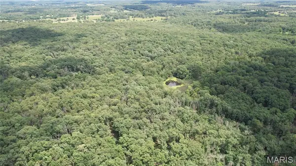 1 State Highway 38, Elkland, MO 65644