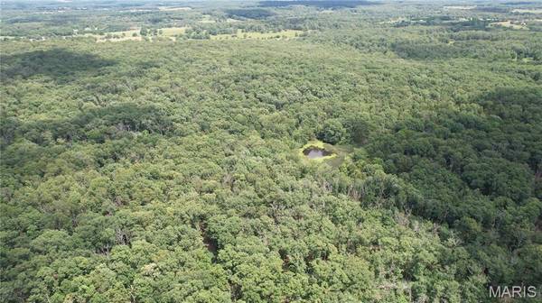 1 State Highway 38, Elkland, MO 65644