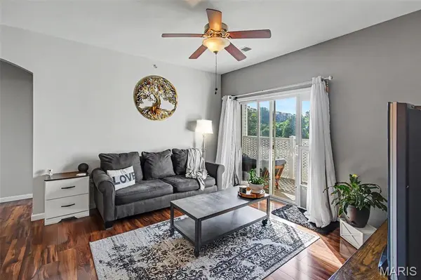 35 Kassebaum LN #205, St Louis, MO 63129
