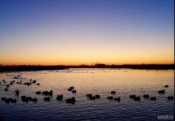 000 County Road 732, New Madrid, MO 63869