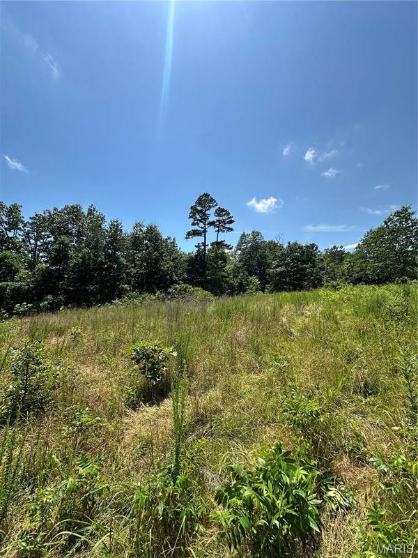TBD Highway 49, Bixby, MO 65439