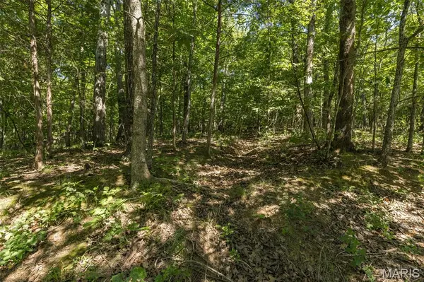 0 Charmaine DR, Bonne Terre, MO 63628