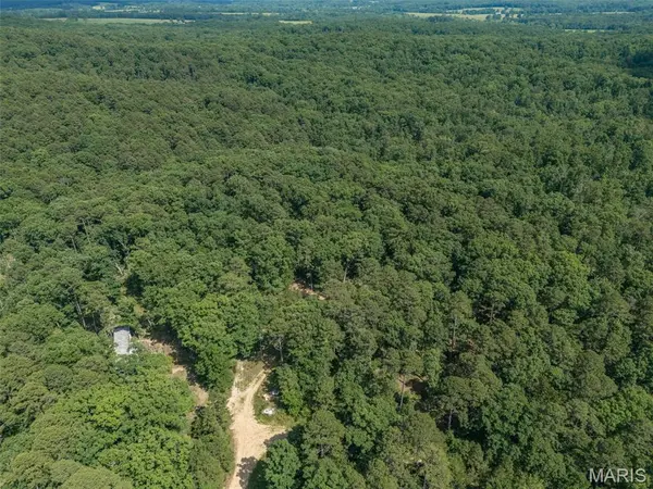 10130 Fish Hook RD, Potosi, MO 63664