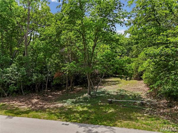 9629 W Vista DR, Hillsboro, MO 63050