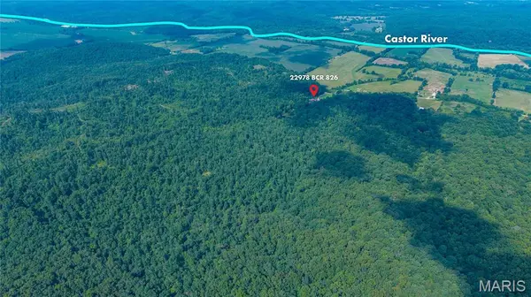 22978 BCR 826, Glen Allen, MO 63751