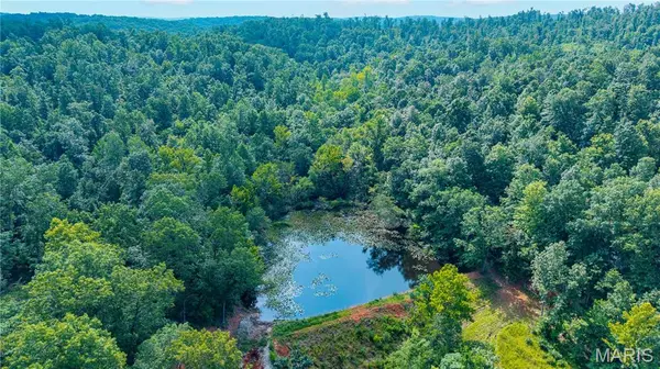 22978 BCR 826, Glen Allen, MO 63751