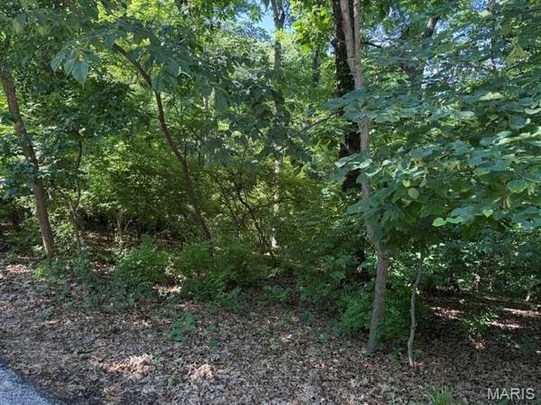 691 Castlecliff RD, Ballwin, MO 63021