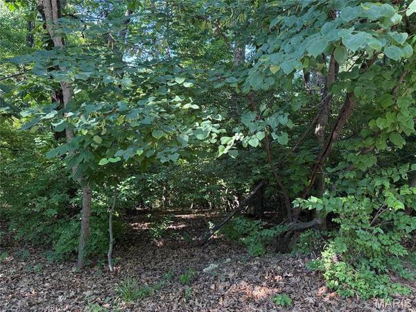 691 Castlecliff RD, Ballwin, MO 63021
