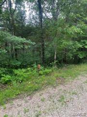 0 Rue Felice, Bonne Terre, MO 63628