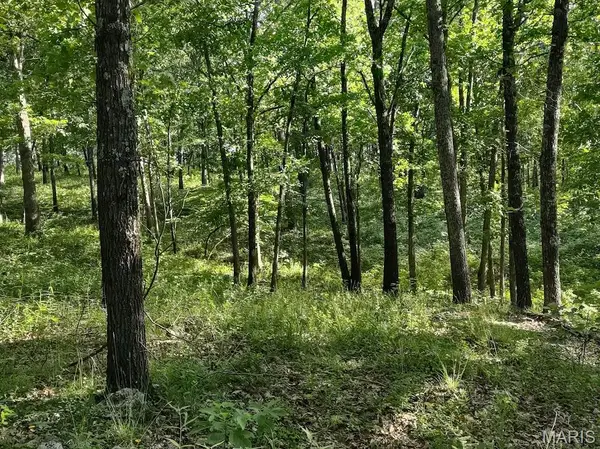 36501 Mohave DR, Eldridge, MO 65463