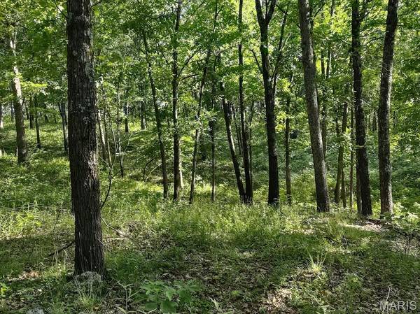36501 Mohave DR, Eldridge, MO 65463