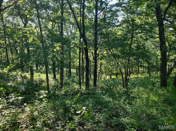 36501 Mohave DR, Eldridge, MO 65463