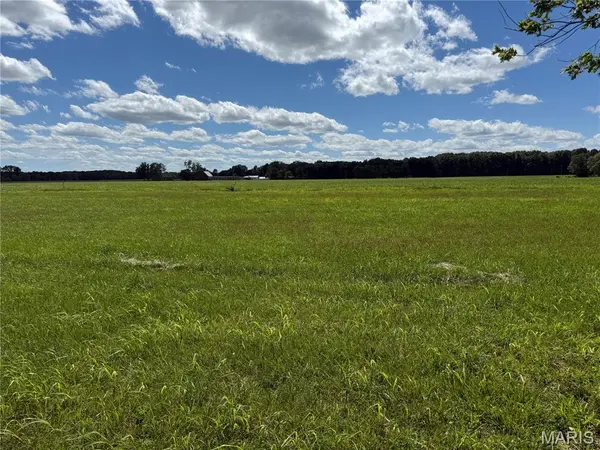 TBD West Fellin DR, Mount Olive, IL 62069
