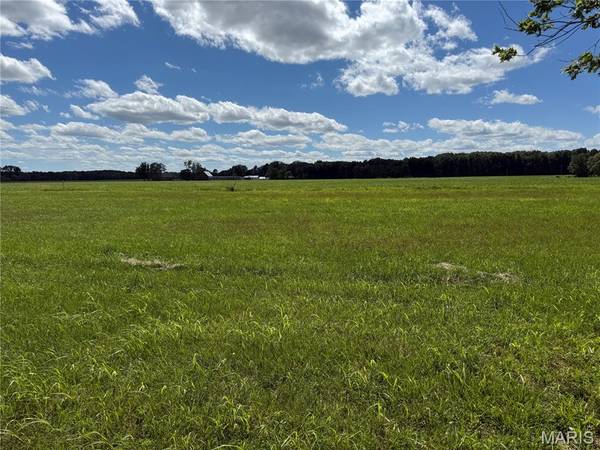 TBD West Fellin DR, Mount Olive, IL 62069